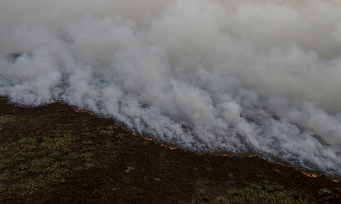 Brigadistas Intensificam Trabalho De Combate A Incêndios No Pantanal Wb Portal De Notícias 